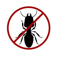 Termite Proof Termite Proof